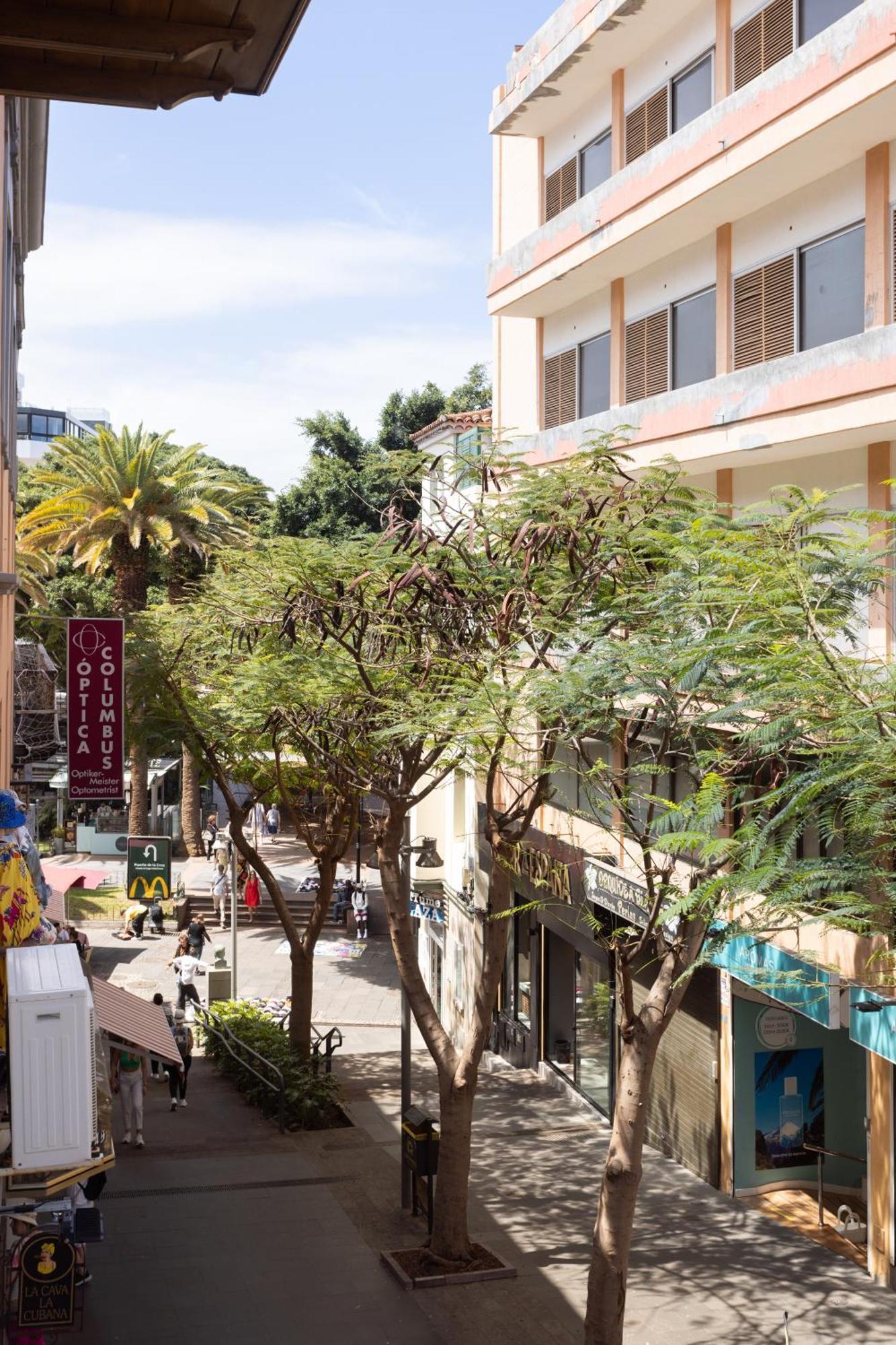 New Bright And Central Home With 2 Bedrooms Puerto de la Cruz  Exteriör bild
